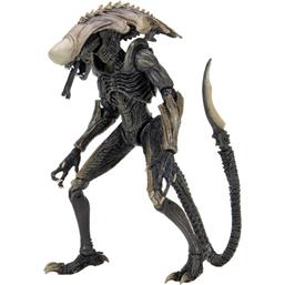 Chrysalis Alien Action Figure 20 cm