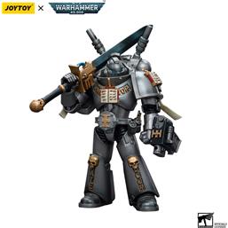 WarhammerGrey Knights Interceptor Squad with Storm Bolter and Nemesis Force Sword Action Figure 12 cm