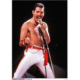 Freddie Mercury Plakat