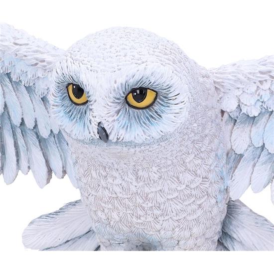 Harry Potter: Hedwig Vægplade 45 cm