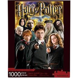 Harry Potter: Harry Potter Cast puslespil (1000 brikker)