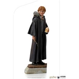 Harry PotterRon Weasley Statue