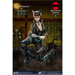 Ninja Catwoman Deluxe Ver. My Favourite Movie Action Figure 1/6 30 cm