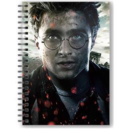 Harry Potter Face Notebook with 3D-Effect 