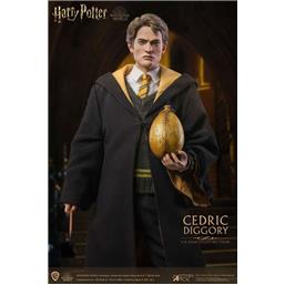Cedric Diggory Deluxe Version My Favourite Movie Action Figure 1/6 30 cm