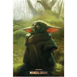 Star WarsGrogu Plakat