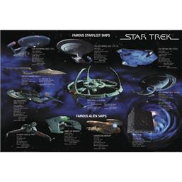 Star TrekStarfleet ships Plakat