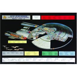 Star Trek: U.S.S. Enterprise NCC-1701-D Plakat