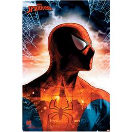 Spiderman Plakat
