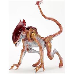 Panther Alien (Kenner Tribute) Action Figure 23 cm