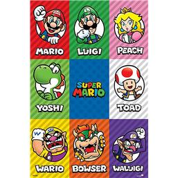 Super Mario Characters Plakat