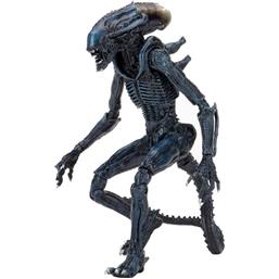 Arachnoid Alien Action Figure 20 cm