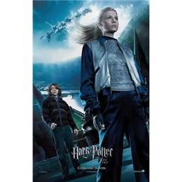 Harry Potter: Harry Potter og Flammernes Pokal Plakat