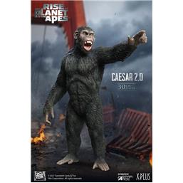Caesar 2.0 Statue 30 cm