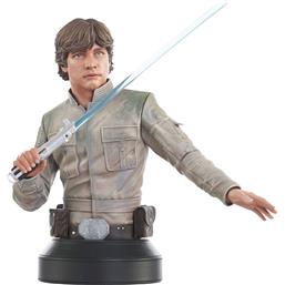Luke Skywalker Buste 1/6 15 cm