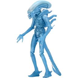 Alien: Blue Warrior Alien (Kenner) Action Figur