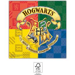 Harry PotterHogwarts Servietter - 33 x 33 cm - 20 styk