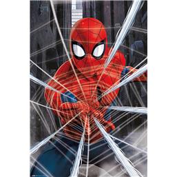 Spider-ManSpider-Man Web Plakat