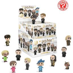 Harry PotterHarry Potter Mystery Minis Vinyl Figur (Series 3)