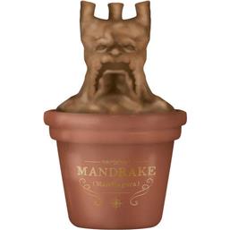 Vase Mandrake