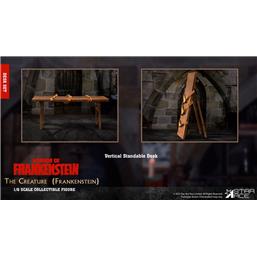 FrankensteinDesk (Horror of Frankenstein) My Favourite Movie 1/6 