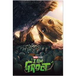 MarvelGroot på Eventyr Plakat