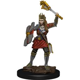 Dungeons & DragonsHuman Cleric Female pre-painted Miniature Figure
