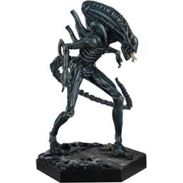 Alien vs. PredatorXenomorph Warrior Statue 1/16 14 cm