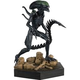 Alien vs. PredatorXenomorph Grid Collection Statue 1/16 14 cm