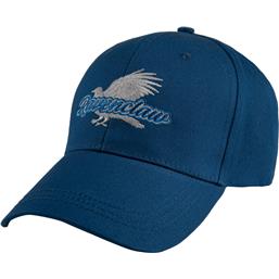 Harry PotterRavenclaw Curved Cap