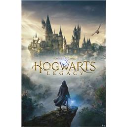 Harry PotterHogwarts Legacy - Wizarding World Universe Plakat