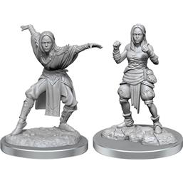 PathfinderHalf-Elf Monk Female Unpainted Miniatures 2-Pack