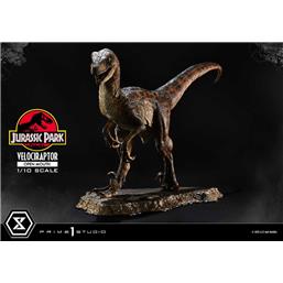 Jurassic Park & WorldVelociraptor Open Mouth Prime Collectibles Statue 1/10 19 cm