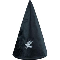 Ravenclaw Studenter Hat