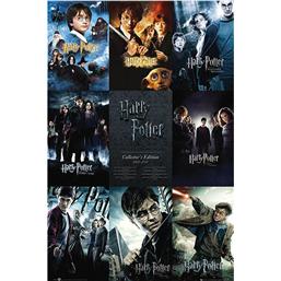 Harry Potter: Collector Edition 2001-2011 Plakat