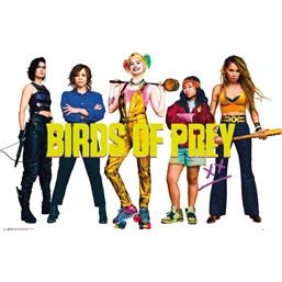 Birds of Prey Group Plakat