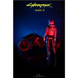 V Female & Yaiba Kusanagi Action Figures Set