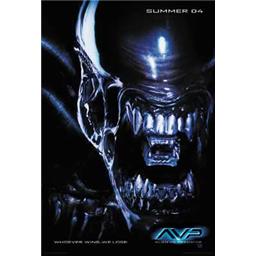 AlienAlien - Alien vs Predator Plakat