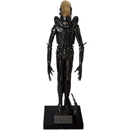 Big Chap Alien Vinyl Statue 60 cm