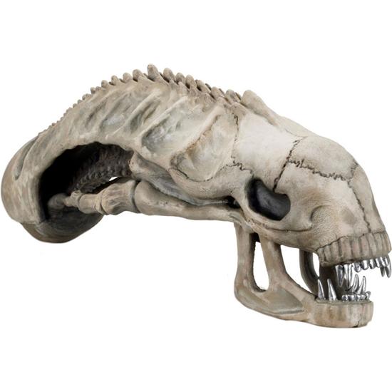 Alien: Aliens Xenomorph Skull Replika