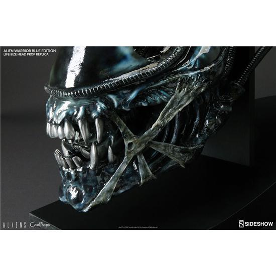Alien: Alien Warrior Head Repilka 1/1 (Blue Edition)