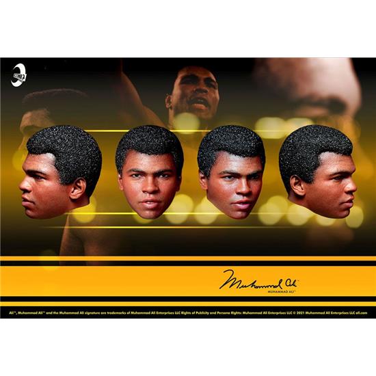 Muhammad Ali: Muhammad Ali Buste 1/6 16 cm