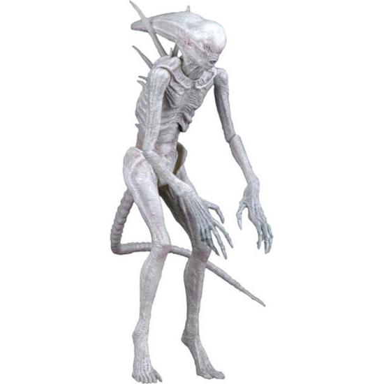 Alien: Covenant Neomorph Alien Action Figur