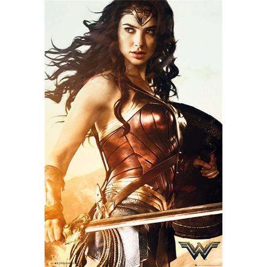 DC Comics: Wonder Woman Battle Plakat