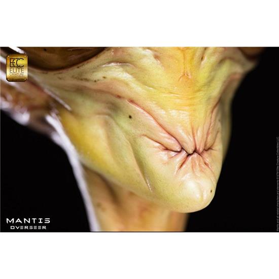 Diverse: by Steve Wang Mantis Overseer Life-Size Bust 63 cm