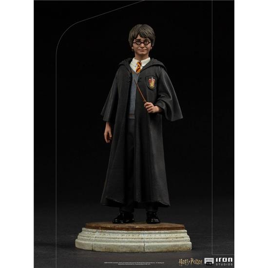 Harry Potter: Harry Potter Statue
