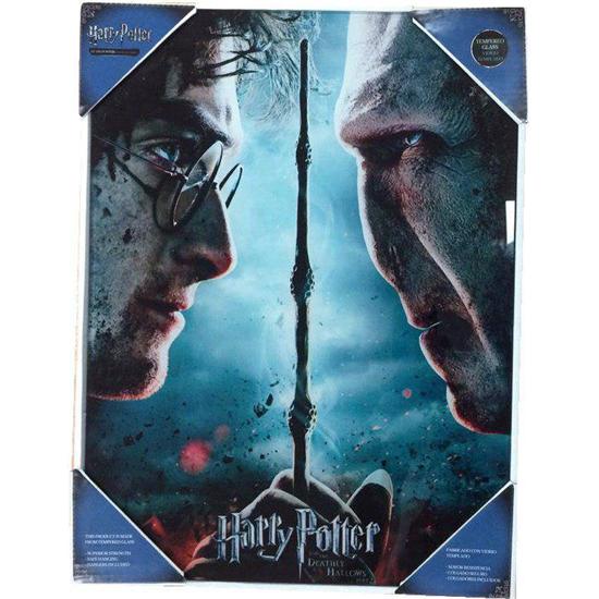 Harry Potter: Harry og Voldemort Indrammet Plakat