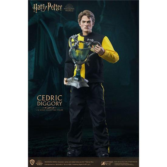 Harry Potter: Cedric Diggory Triwizard Version Action Figure 1/6 30 cm