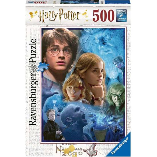 Harry Potter: Harry Potter in Hogwarts Puslespil (500 brikker)