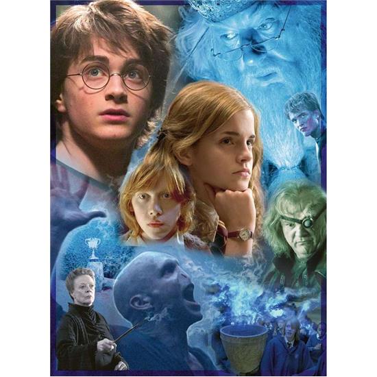 Harry Potter: Harry Potter in Hogwarts Puslespil (500 brikker)